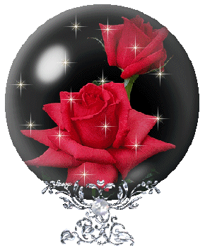 mirci  atou  mi ami
